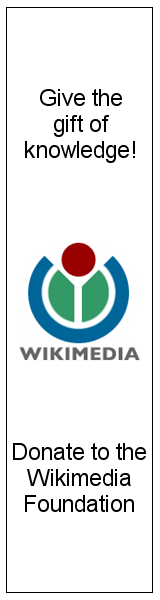 Donate to the Wikimedia Foundation